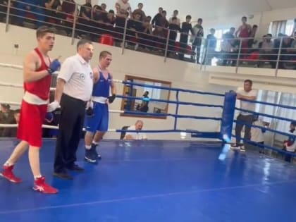Сборная Ингушетии по боксу успешно выступает в двух турнирах