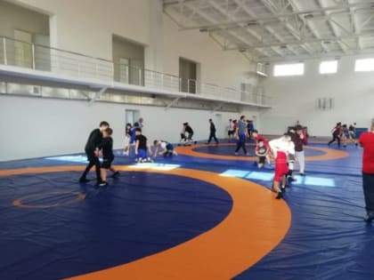 В Ингушетию приехала юношеская сборная страны по греко-римской борьбе