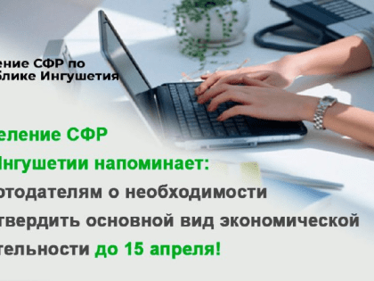 Отделение СФР по Республике Ингушетия напоминает работодателям о необходимости подтвердить основной вид экономической деятельности