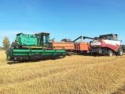 В Ингушетии урожайность зерновых в 2022 году выросла на 9,5 %