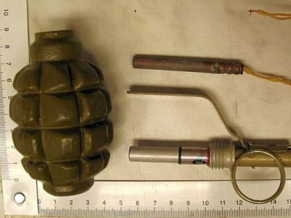 3,5 года получил житель Ингушетии, прятавший в доме гранату и патроны