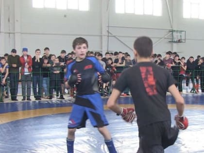 Победители получили право представить Ингушетию на чемпионате СКФО