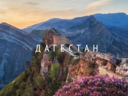 Глава Миннаца Ингушетии поздравил коллегу из Дагестана с Днём Республики