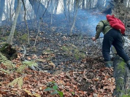 В Ингушетии предотвратили лесные пожары