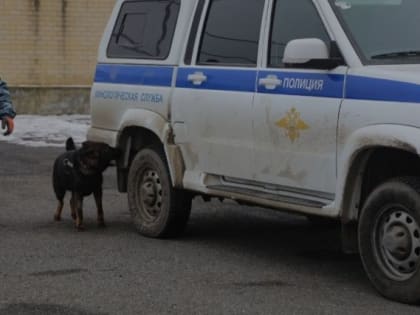 В Ингушетии пенсионер кухонным ножом зарезал мужчину на ферме