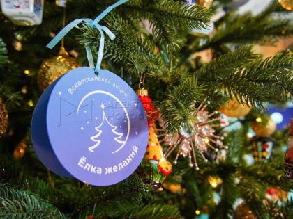 Елка желаний 2024: как подать заявку на участие?