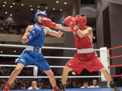 Спортивный клуб «Чемпион» снова привез медали домой