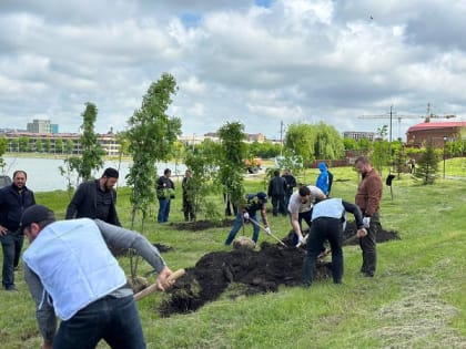 В Ингушетии площадь восстановленных лесов составила 436 га