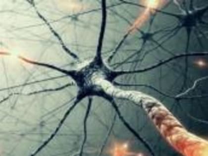 Учёные приблизились к победе над эпилепсией, шизофренией и склерозом