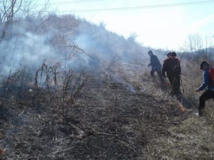 В Ингушетии успешно борются с лесными пожарами