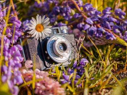 Стартует Всероссийская фотоакция «Мое культурное лето»