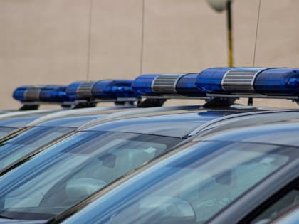 Житель Ингушетии сдался полиции после избиения пожилого соседа
