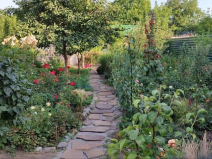 Конкурс на лучшее ЛПХ – предварительная оценка претендентов