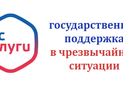 Государственная поддержка в чрезвычайной ситуации