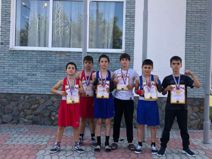 Ингушские спортсмены завоевали 22 медали на турнире по боксу в Ставропольском крае