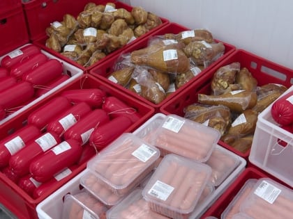 Птицекомплекс «Южный» Ингушетии в числе передовых аграрных предприятий России