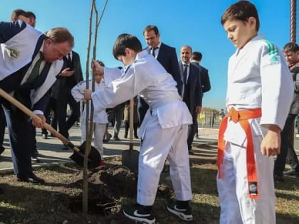 Ингушетия посадит 3 тысячи саженцев ясеня в рамках акции «Сохраним лес»