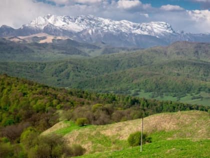 В Ингушетии на скамье подсудимых окажется экс-чиновник, злоупотребивший полномочиями