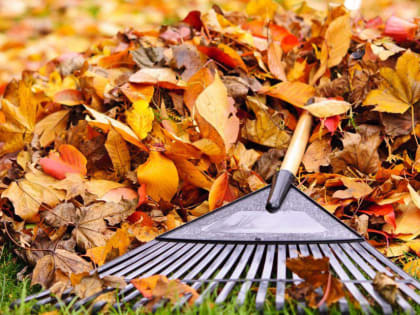 Все на субботник!