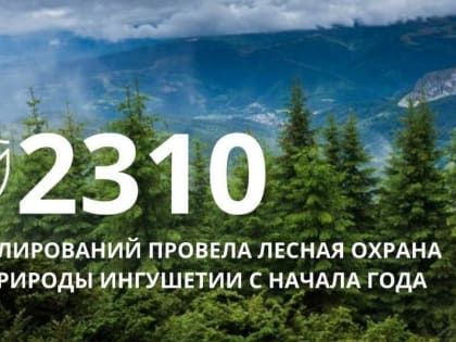 Земли лесного фонда Ингушетии являются государственной собственностью федерального значения