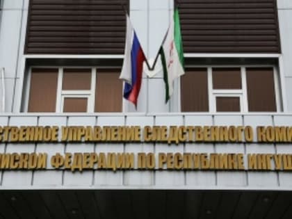 В Ингушетии завели уголовное дело на женщину, продавшую младенца