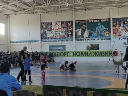 В Ингушетии проходит турнир по спортивной борьбе в дисциплине панкратион