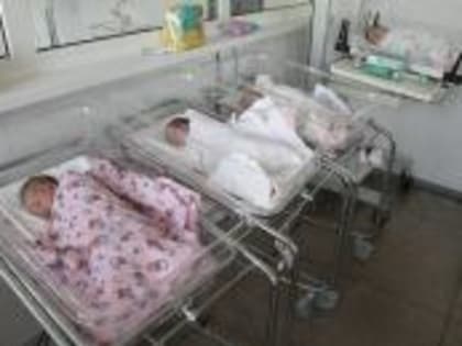 В марте в Перинатальном центре Ингушетии родились 369 малышей