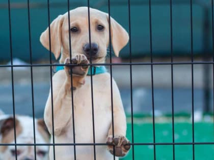 Решаем проблему в рамках имеющихся возможностей
