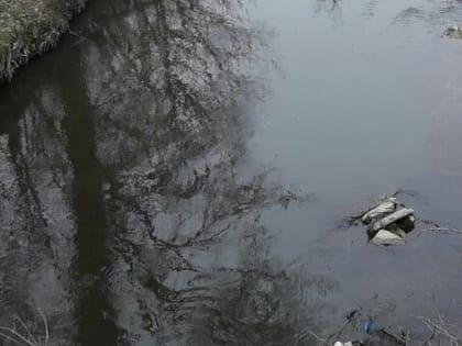 В 2023 и 2024 гг. в Ингушетии планируется оздоровить русло реки Сунжа⁣⁣⠀