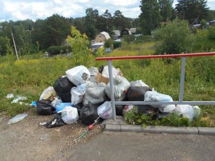 Ужесточение мер наказания за стихийный выброс мусора.