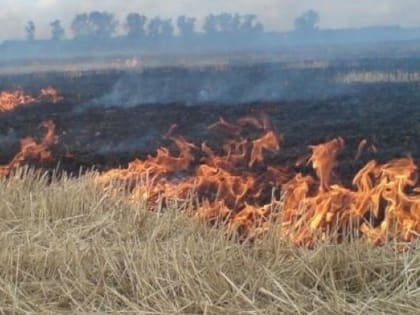 В окрестности села Верхние Ачалуки Ингушетии произошло возгорание сухой растительности
