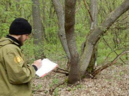 В Ингушетии в 2023 году ожидается инвентаризация фонда лесовосстановления