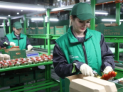 Жителям Ингушетии помогут бесплатно освоить новые профессии.