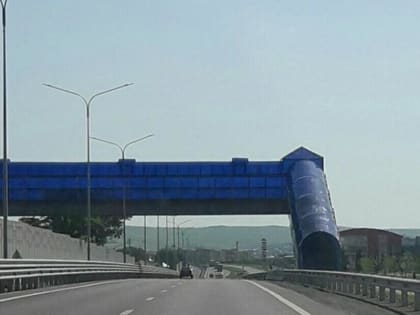 Ингушское УФАС России: реклама KFC нарушает законодательства