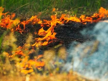 В Ингушетии проходит информационная кампания «Останови огонь»