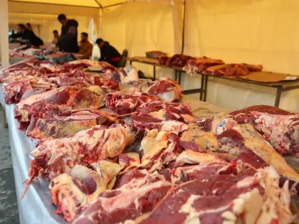 Новые инициативы для улучшения качества жизни в городе