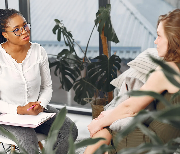 Telehealth Virtual Counseling