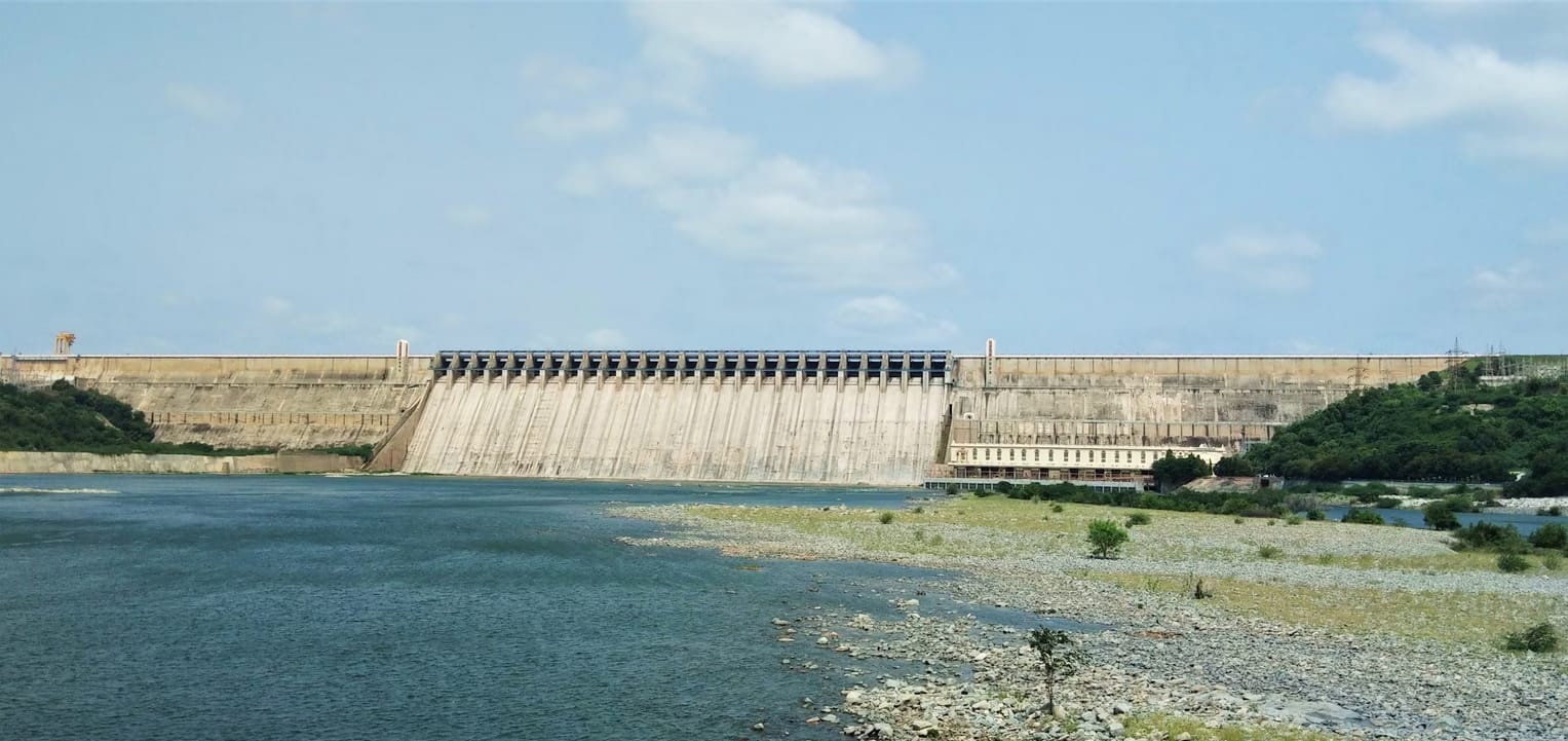 DAMS