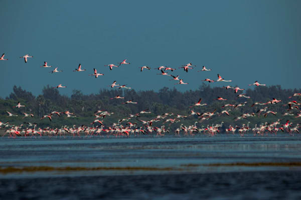 Tiruvallur District: Tourism, Pulicat Lake, Famous Places to Visit Tiruvallur