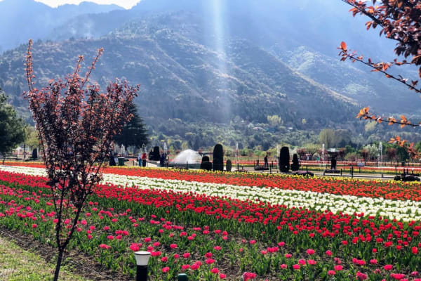 Kashmir Tourism: Best Tourist Places, Famous Places Kashmir