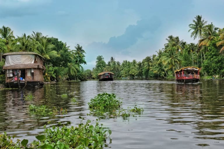 Backwaters