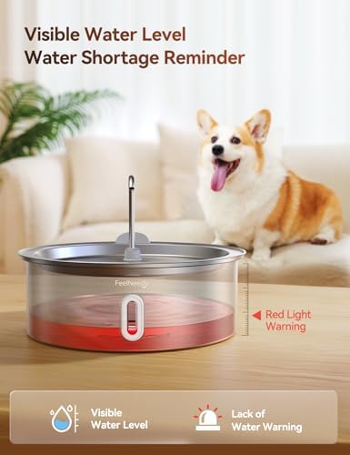 Vue 4 de Feelneedy Fontaine