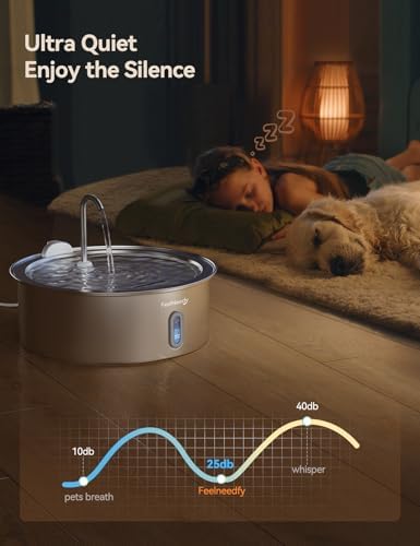 Vue 5 de Feelneedy Fontaine