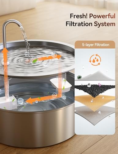 Vue 6 de Feelneedy Fontaine