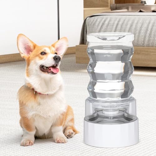 Vue 5 de Sfozstra Distributeur Deau Pour