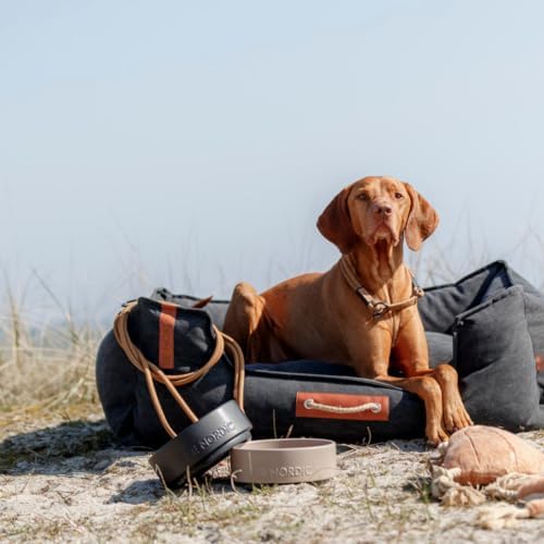 Vue 5 de Trixie Be Nordic Gamelle