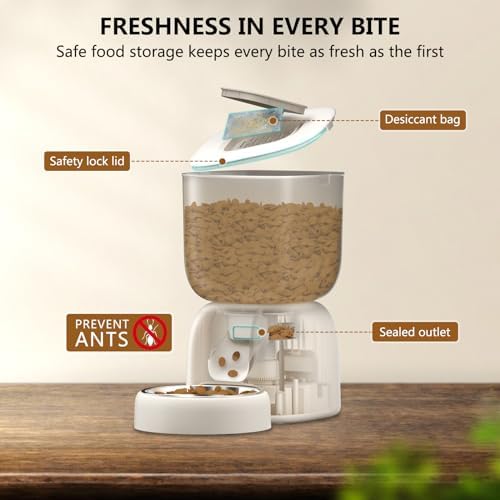 Vue 4 de Puppy Kitty Wifi