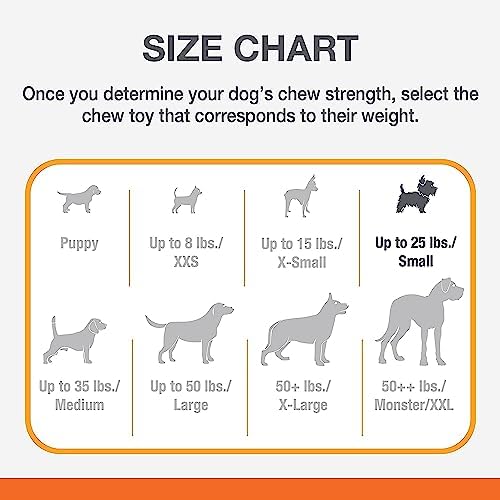 Vue 6 de Nylabone Os Ronger