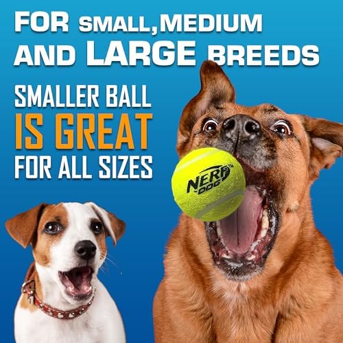 Vue 6 de Nerf Dog Ensemble De
