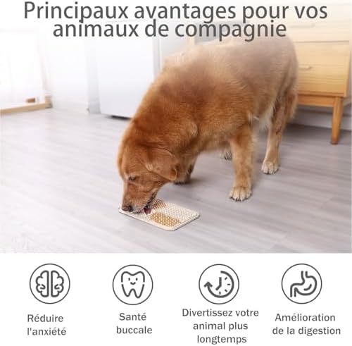 Vue 6 de Mateeylife Pcs Tapis De